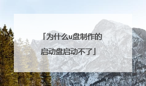 为什么u盘制作的启动盘启动不了