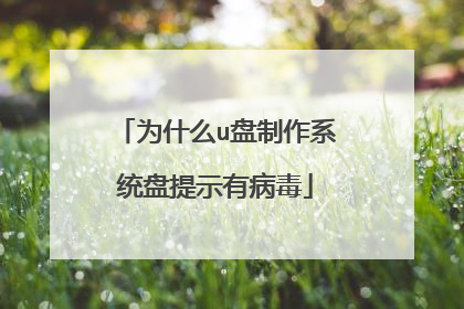 为什么u盘制作系统盘提示有病毒