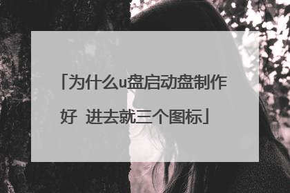 为什么u盘启动盘制作好 进去就三个图标