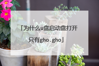 为什么u盘启动盘打开只有gho.gho
