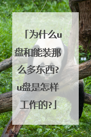 为什么u盘和能装那么多东西?u盘是怎样工作的?