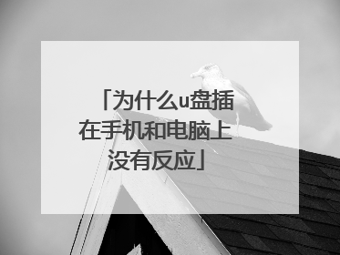 为什么u盘插在手机和电脑上没有反应