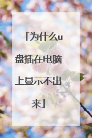为什么u盘插在电脑上显示不出来