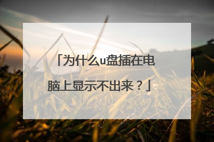 为什么u盘插在电脑上显示不出来?