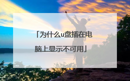 为什么u盘插在电脑上显示不可用