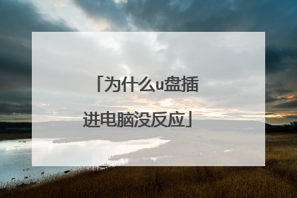 为什么u盘插进电脑没反应