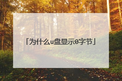 为什么u盘显示0字节
