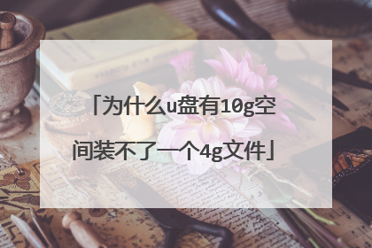 为什么u盘有10g空间装不了一个4g文件