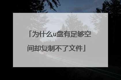 为什么u盘有足够空间却复制不了文件