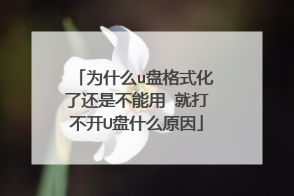为什么u盘格式化了还是不能用 就打不开U盘什么原因