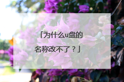 为什么u盘的名称改不了?