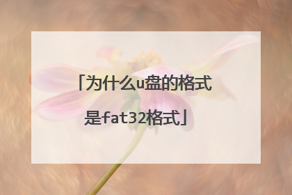 为什么u盘的格式是fat32格式