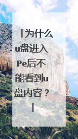 为什么u盘进入Pe后不能看到u盘内容?