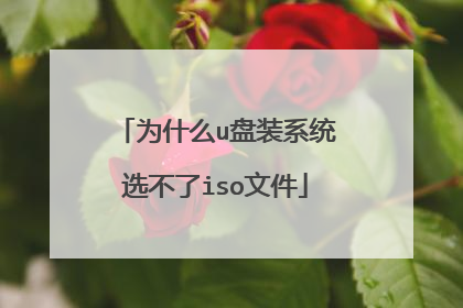 为什么u盘装系统选不了iso文件
