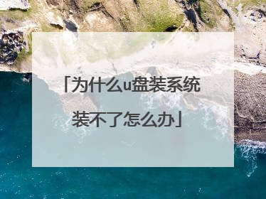 为什么u盘装系统 装不了怎么办