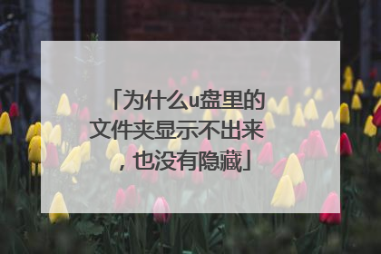 为什么u盘里的文件夹显示不出来,也没有隐藏