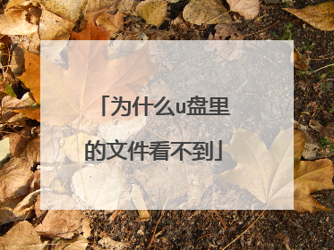 为什么u盘里的文件看不到