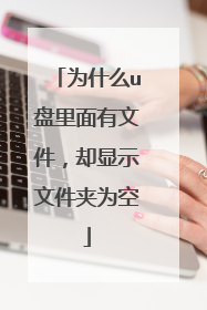 为什么u盘里面有文件，却显示文件夹为空