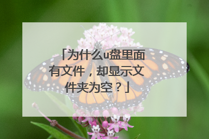 为什么u盘里面有文件,却显示文件夹为空?