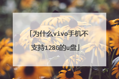 为什么vivo手机不支持128G的u盘