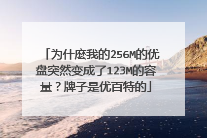 为什麽我的256M的优盘突然变成了123M的容量?牌子是优百特的