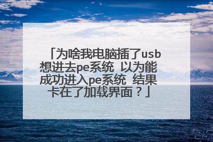 为啥我电脑插了usb想进去pe系统 以为能成功进入pe系统 结果卡在了加载界面?