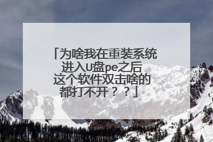 为啥我在重装系统 进入U盘pe之后 这个软件双击啥的都打不开？？