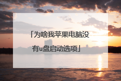 为啥我苹果电脑没有u盘启动选项