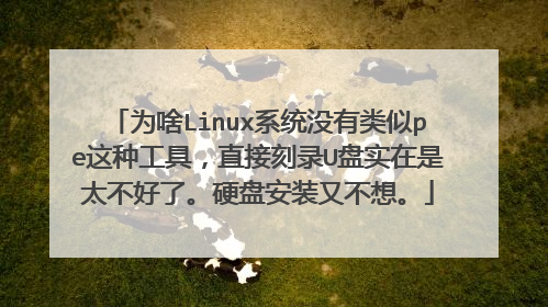 为啥Linux系统没有类似pe这种工具，直接刻录U盘实在是太不好了。硬盘安装又不想。