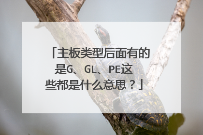 主板类型后面有的是G、GL、PE这些都是什么意思?