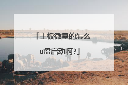 主板微星的怎么u盘启动啊?
