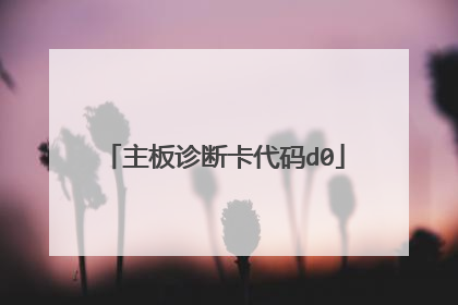 主板诊断卡代码d0