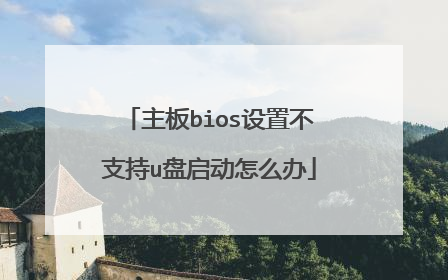 主板bios设置不支持u盘启动怎么办