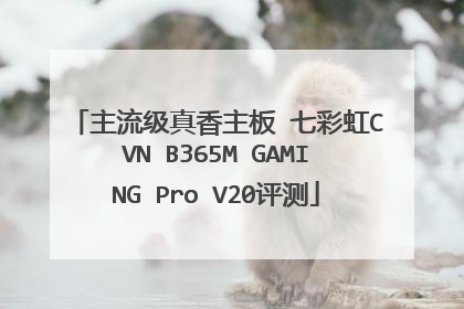 主流级真香主板 七彩虹CVN B365M GAMING Pro V20评测