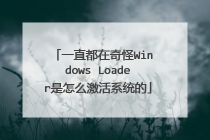 一直都在奇怪Windows Loader是怎么激活系统的