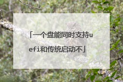 一个盘能同时支持uefi和传统启动不