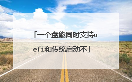 一个盘能同时支持uefi和传统启动不