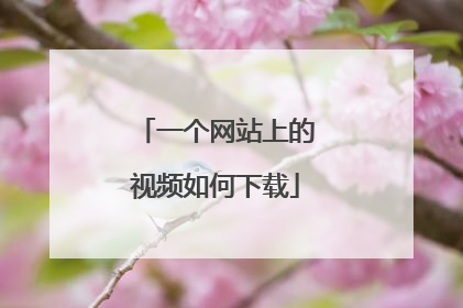 一个网站上的视频如何下载
