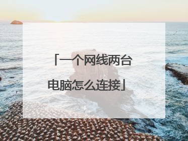 一个网线两台电脑怎么连接
