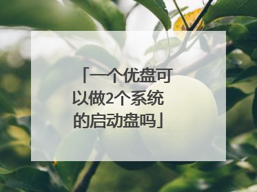 一个优盘可以做2个系统的启动盘吗