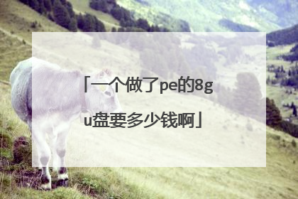 一个做了pe的8g u盘要多少钱啊