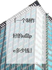 一个制作好的u盘pe多少钱