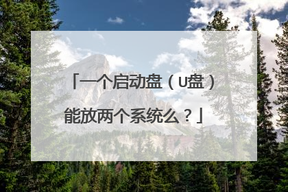 一个启动盘(U盘)能放两个系统么?