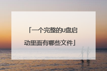 一个完整的U盘启动里面有哪些文件