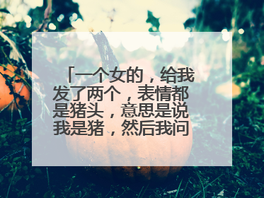 一个女的,给我发了两个,表情都是猪头,意思是说我是猪,然后我问你是白菜吗?她说上好的白菜被猪拱了