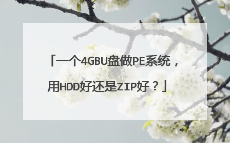 一个4GBU盘做PE系统,用HDD好还是ZIP好?
