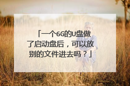 一个6G的U盘做了启动盘后,可以放别的文件进去吗?