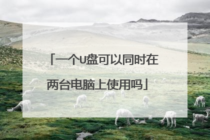 一个U盘可以同时在两台电脑上使用吗