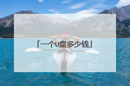 一个U盘多少钱
