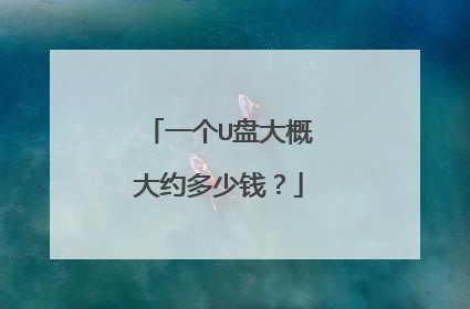 一个U盘大概大约多少钱?
